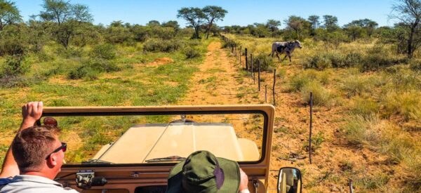 17 Tage Erlebnisreise Namibia 2025 / 2026  | Erlebnisrundreisen.de