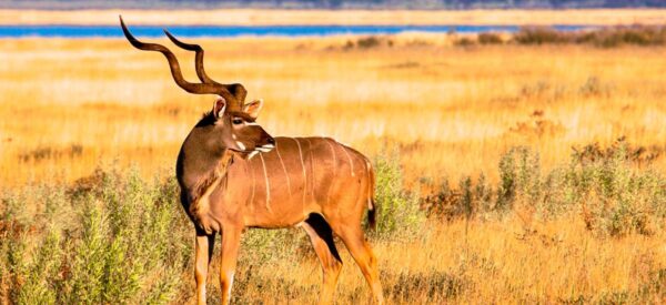 Namibia Erlebnisreise mit höchstens 12 Gästen 2025 / 2026 | Erlebnisrundreisen.de