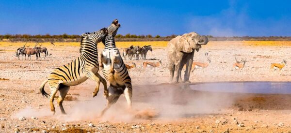 Erlebnisreisen aktiv Afrika Kleingruppenreise | Erlebnisrundreisen.de