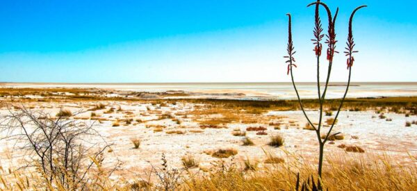 Kleingruppenreise Namibia 2025 / 2026 | Erlebnisrundreisen.de