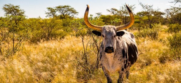 Rundreise Namibia 2025 / 2026 | Erlebnisrundreisen.de