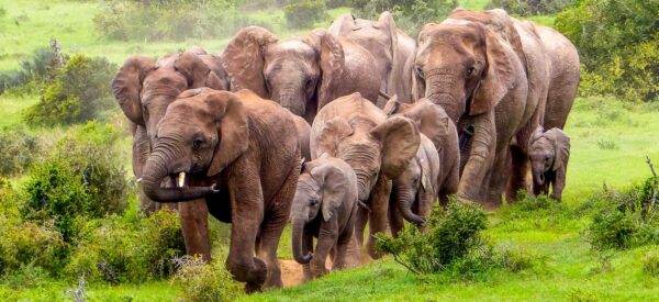 Erlebnisreisen Afrika Kleingruppenreise | Erlebnisrundreisen.de