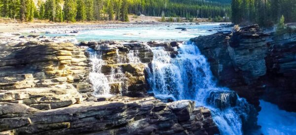 Athabasca Falls im Jasper-Nationalpark