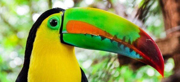 Rundreise in Kleingruppe Amerika Costa Rica, Nicaragua & Panama 2025 / 2026 | Erlebnisrundreisen.de