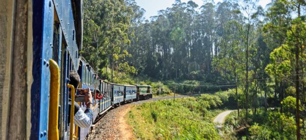 18 Tage Erlebnisreise Asien Indien 2025 / 2026 | Erlebnisrundreisen.de