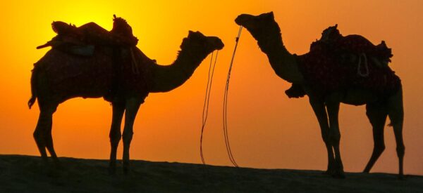 Kleingruppenreise Indien 2025 / 2026 | Erlebnisrundreisen.de