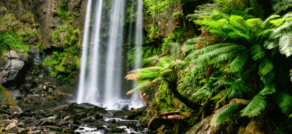 Wasserfall im Regenwald