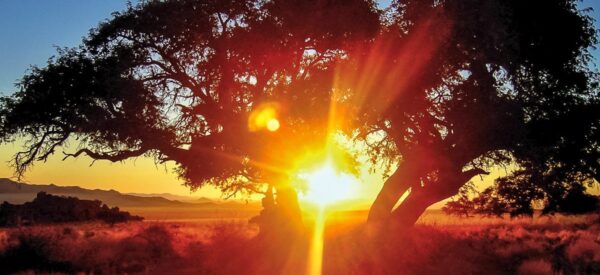 19 Tage Erlebnisreise Namibia 2025 / 2026  | Erlebnisrundreisen.de