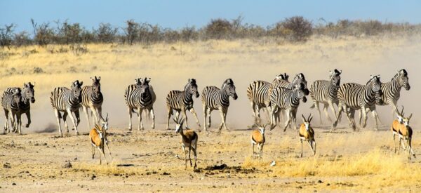 Namibia Erlebnisreise mit höchstens 12 Gästen 2025 / 2026 | Erlebnisrundreisen.de