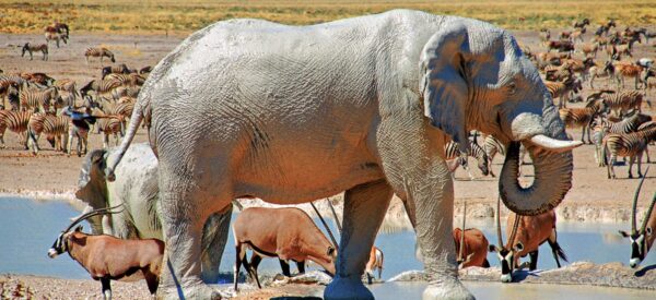 Erlebnisreisen Afrika Kleingruppenreise | Erlebnisrundreisen.de