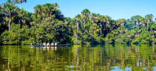 Mit dem Boot durch das Amazonasgebiet