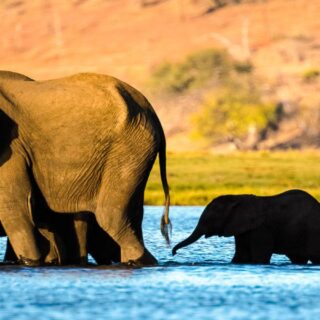 Rundreise Botswana, Namibia und Simbabwe 2025 / 2026 | Erlebnisrundreisen.de