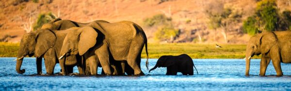 Rundreise Botswana, Namibia und Simbabwe 2025 / 2026 | Erlebnisrundreisen.de
