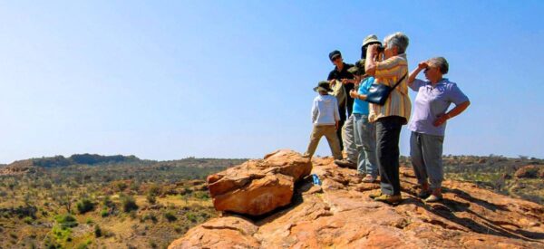 Auf dem Mapungubwe Hill