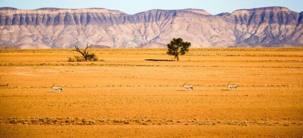 21 Tage Erlebnisreise Afrika Namibia 2025 / 2026 | Erlebnisrundreisen.de