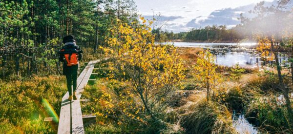 Estland Erlebnisreise mit höchstens 8 Gästen 2025 / 2026 | Erlebnisrundreisen.de