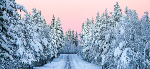 9 Tage Erlebnisreise Europa Schweden, Finnland & Norwegen 2025 / 2026 | Erlebnisrundreisen.de