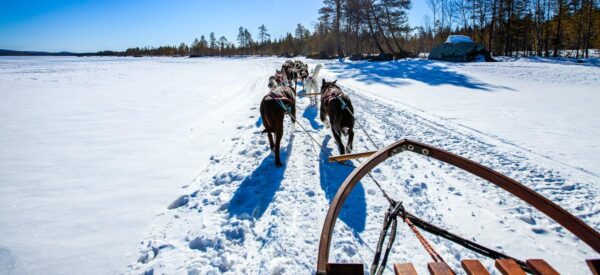 Husky-Schlittenfahrt in Lappland