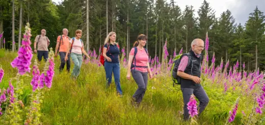 Wandergruppe - Dominik Ketz - Erlebnisrundreisen.de