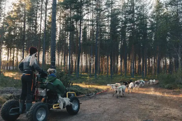 Huskytour mit einem Buggy - - Erlebnisrundreisen.de
