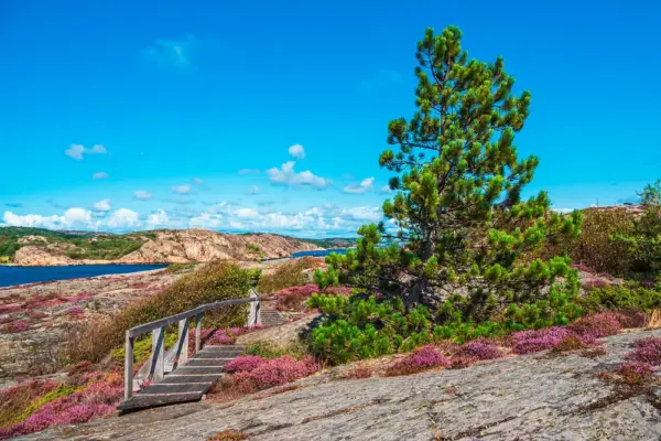 Auf der Insel Dyrön - Rico Ködder - © Rico Ködder / adobe.com - Erlebnisrundreisen.de