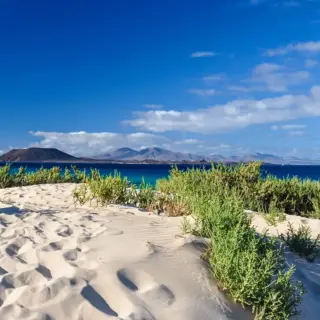 Strand bei Corralejo - Juergen Wallstabe - © Juergen Wallstabe / Adobe.com - Erlebnisrundreisen.de