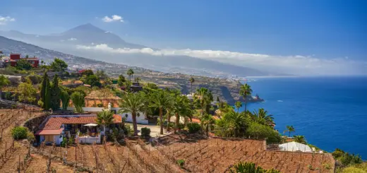 Toller Ausblick auf Weinterrassen - Xalanx - © Xalanx / Adobe.com - Erlebnisrundreisen.de