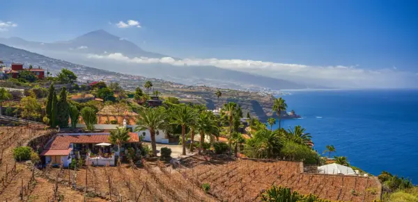 Toller Ausblick auf Weinterrassen - Xalanx - © Xalanx / Adobe.com - Erlebnisrundreisen.de