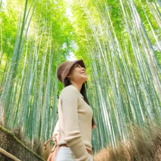 Im Arashiyama Bambuswald - Mumemories - © Mumemories / Adobe.com - Erlebnisrundreisen.de
