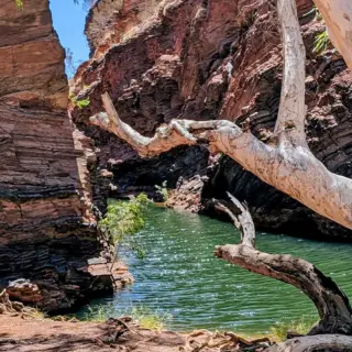 Wanderung in der Hamersley Gorge - Tanja Harrasser - Erlebnisrundreisen.de