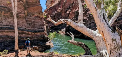 Wanderung in der Hamersley Gorge - Tanja Harrasser - Erlebnisrundreisen.de