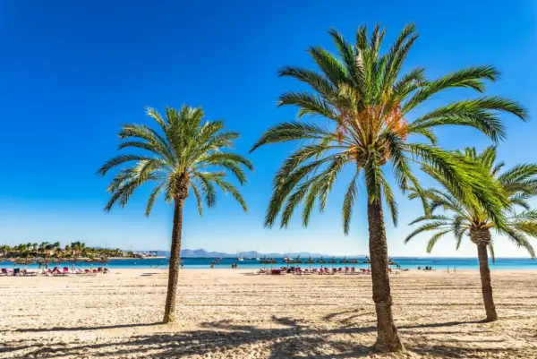 Bucht von Alcúdia - vulcanus - © vulcanus / adobe.com - Erlebnisrundreisen.de