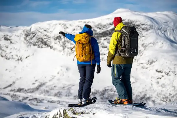 Ausblick auf Norwegens Fjells - SCANOUT.COM