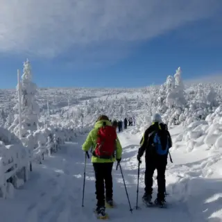 Im Winterwunderland - Holger Schwenk - Erlebnisrundreisen.de