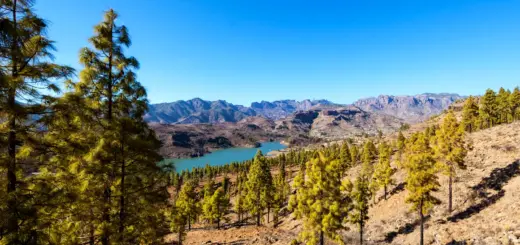 Gran Canaria - André Schumacher / laif - © André Schumacher - Erlebnisrundreisen.de