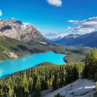 Peyto Lake