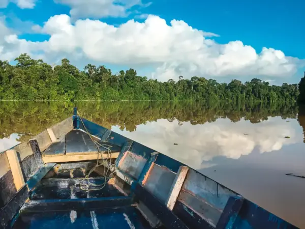 Bootsfahrt auf dem Kinabatangan-Fluss - Juanamari Gonzalez - © Juanamari Gonzalez / adobe.com - Erlebnisrundreisen.de