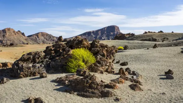 Teide-Nationalpark - André Schumacher / laif - © André Schumacher - Erlebnisrundreisen.de