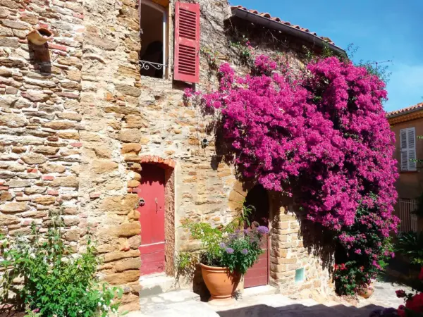 Pittoresk: Haus in Bormes-les-Mimosas - Susanne Barton - Erlebnisrundreisen.de