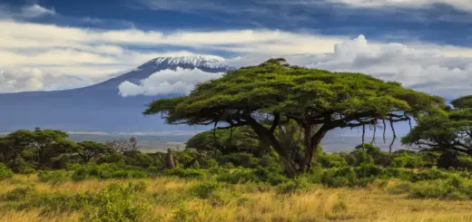 Kilimanjaro - Anton Petrus - © Anton Petrus /Adobe.com - Erlebnisrundreisen.de