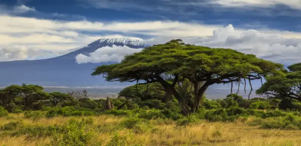 Kilimanjaro - Anton Petrus - © Anton Petrus /Adobe.com - Erlebnisrundreisen.de