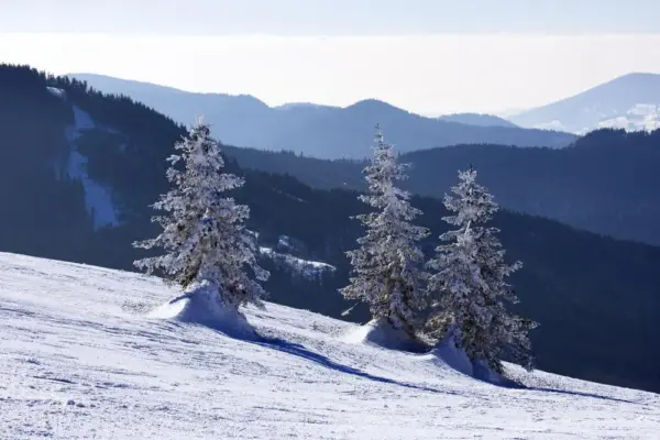 Winterlandschaft - FVA - Erlebnisrundreisen.de