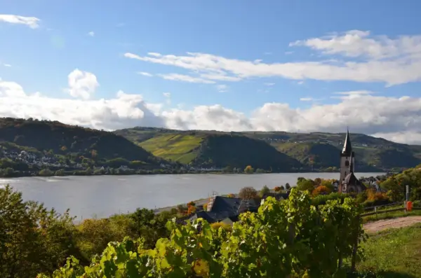 Herbsteindrücke im Rheingau - Hotel im Schulhaus - Erlebnisrundreisen.de