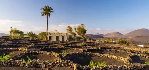 Lanzarote - André Schumacher / laif - © André Schumacher - Erlebnisrundreisen.de