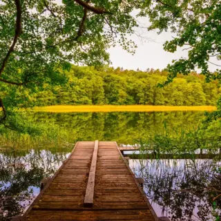 Waldsee in der Uckermark - Mit *HPS* auf Reisen - © Mit *HPS* auf Reisen / Adobe.com - Erlebnisrundreisen.de