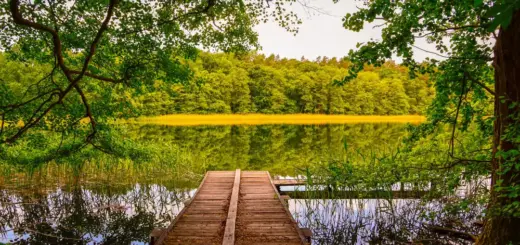 Waldsee in der Uckermark - Mit *HPS* auf Reisen - © Mit *HPS* auf Reisen / Adobe.com - Erlebnisrundreisen.de
