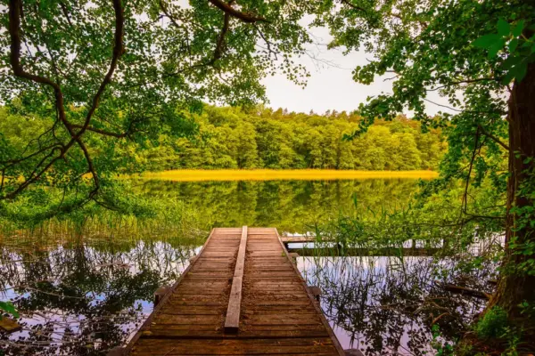 Waldsee in der Uckermark - Mit *HPS* auf Reisen - © Mit *HPS* auf Reisen / Adobe.com - Erlebnisrundreisen.de