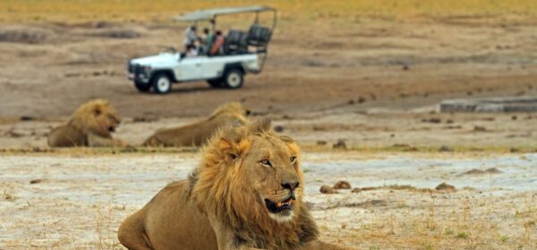 Eswatini Gruppenreisen