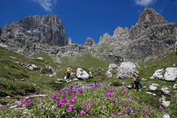 Zu Füßen der Brenta Dolomiten - Gerd Thiel - Erlebnisrundreisen.de