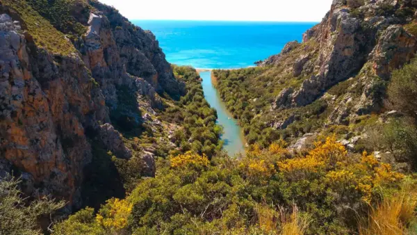 Blick auf den Palmengarten von Preveli - Dirk Klüners - Erlebnisrundreisen.de